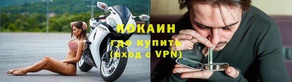 дмт Гусь-Хрустальный