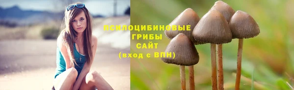 дживик Гусиноозёрск