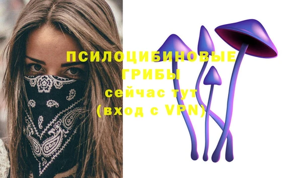дживик Гусиноозёрск
