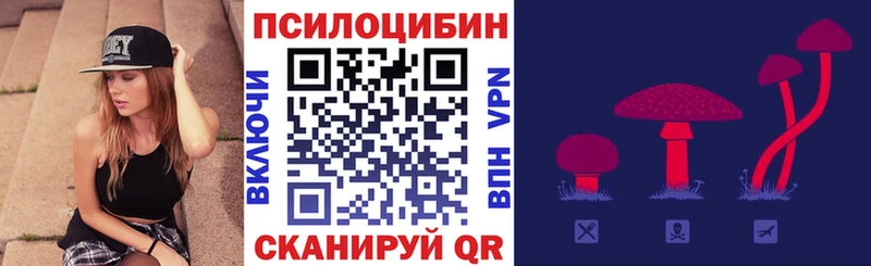 Купить закладки  Лахденпохья  Псилоцибиновые грибы Cubensis 